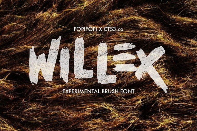 Willex Brush Font