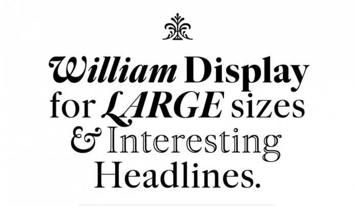 William Std Font