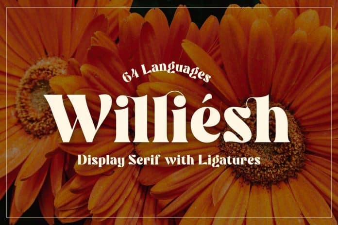 Williesh by Alterzone Font