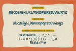 Willincki - A Quirky & Playful Typeface