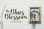 Willow Eden Font