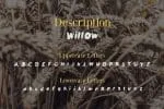 Willow Font