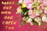 Willow Font
