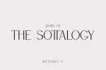 Willson - Modern Serif Font
