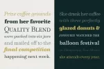 Windslow - Modern Ligature Font