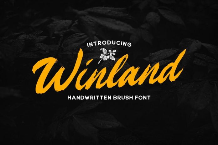 Winland - Brush Font