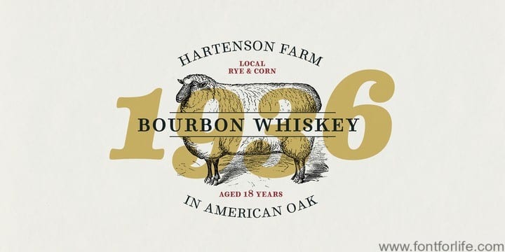 Winslow Book Font Family