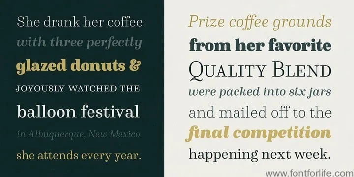 Winslow Book Font Family