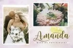 Winstonia Font
