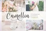 Winstonia Font