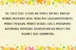 Winter Melon Font