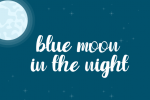 Winter Yesterday Font