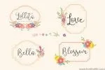 Wisteria Script Font