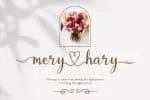 Wonderful Lovely Font