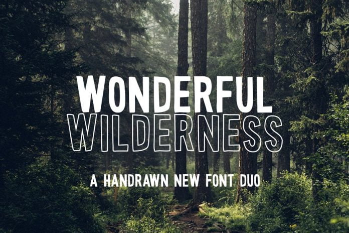 Wonderful Wilderness Font Duo