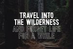 Wonderful Wilderness Font Duo