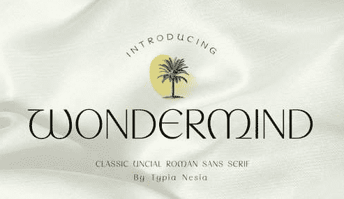 Wondermind - Classic Aesthetic Beauty Sans Serif Font