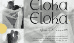 Wondermind - Classic Aesthetic Beauty Sans Serif Font