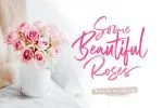 Wonderstory Font