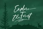 Wondertis Brush Font