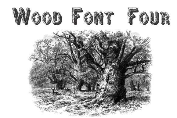 Wood Font Four