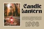 Wood Land Font