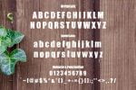 Wooden Font