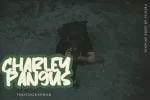 Worknow Display Font