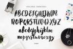 Worthy Font