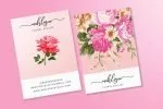 Wulan Script Font