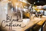Wynstelle Script Font