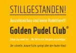 XXII Neue Norm Condensed Font