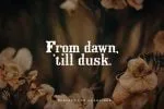 Xavier - Vintage Display Font