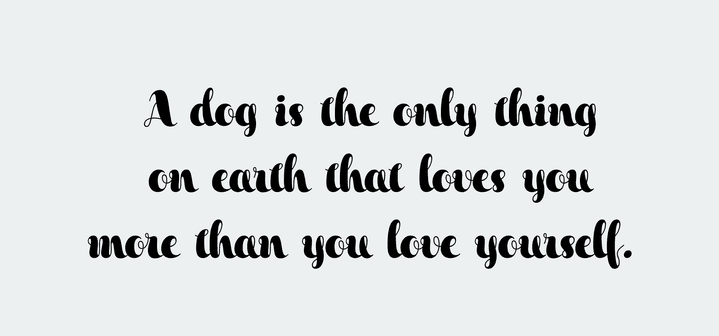 Xesy Font