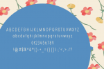 Xinlitun Font