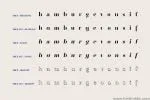 Xreles Font