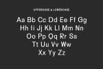 Yarelli Sans Serif Font