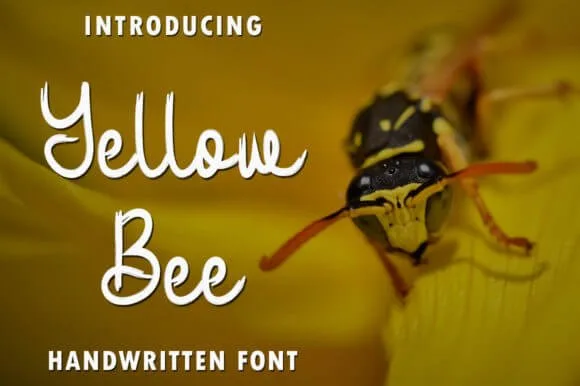 Yellow Bee Font