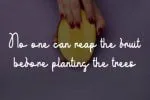Yellow Mango Font