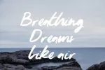 Youngblood Brush Typeface