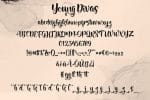 Youngdivas Stylish Handwriting Script Font