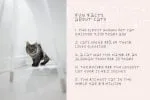 Your Favorite Pencil Font