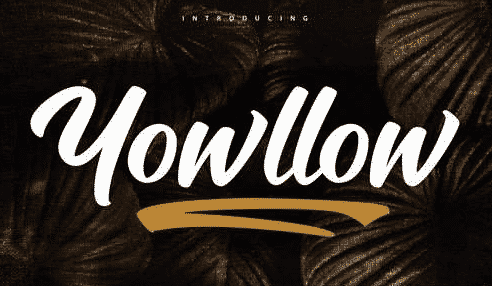 Yowllow Brush Handlettering Script Font