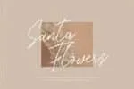 Yuanytta Script Font