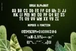 Zaba Zoo Font