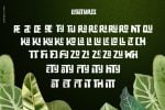 Zaba Zoo Font