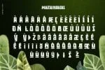 Zaba Zoo Font