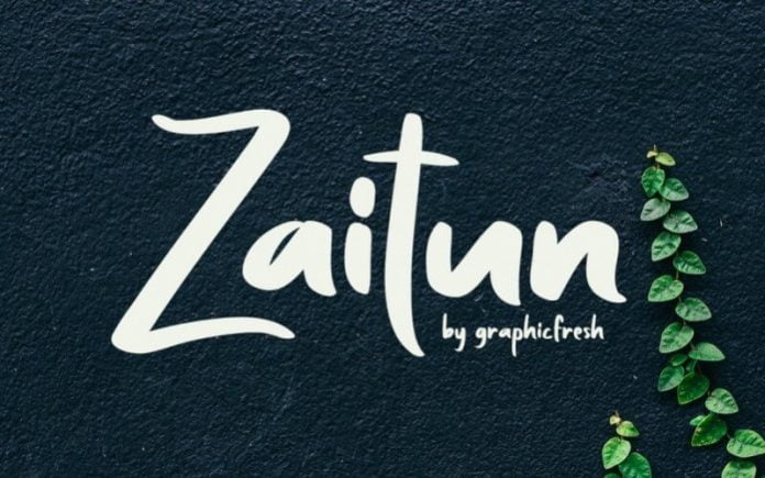 Zaitun A Nature Branding Font