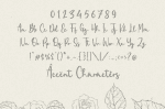 Zaniola Lavolce Modern Calligraphy Font