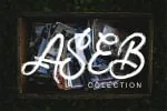 ZeBrush Brush Script Font